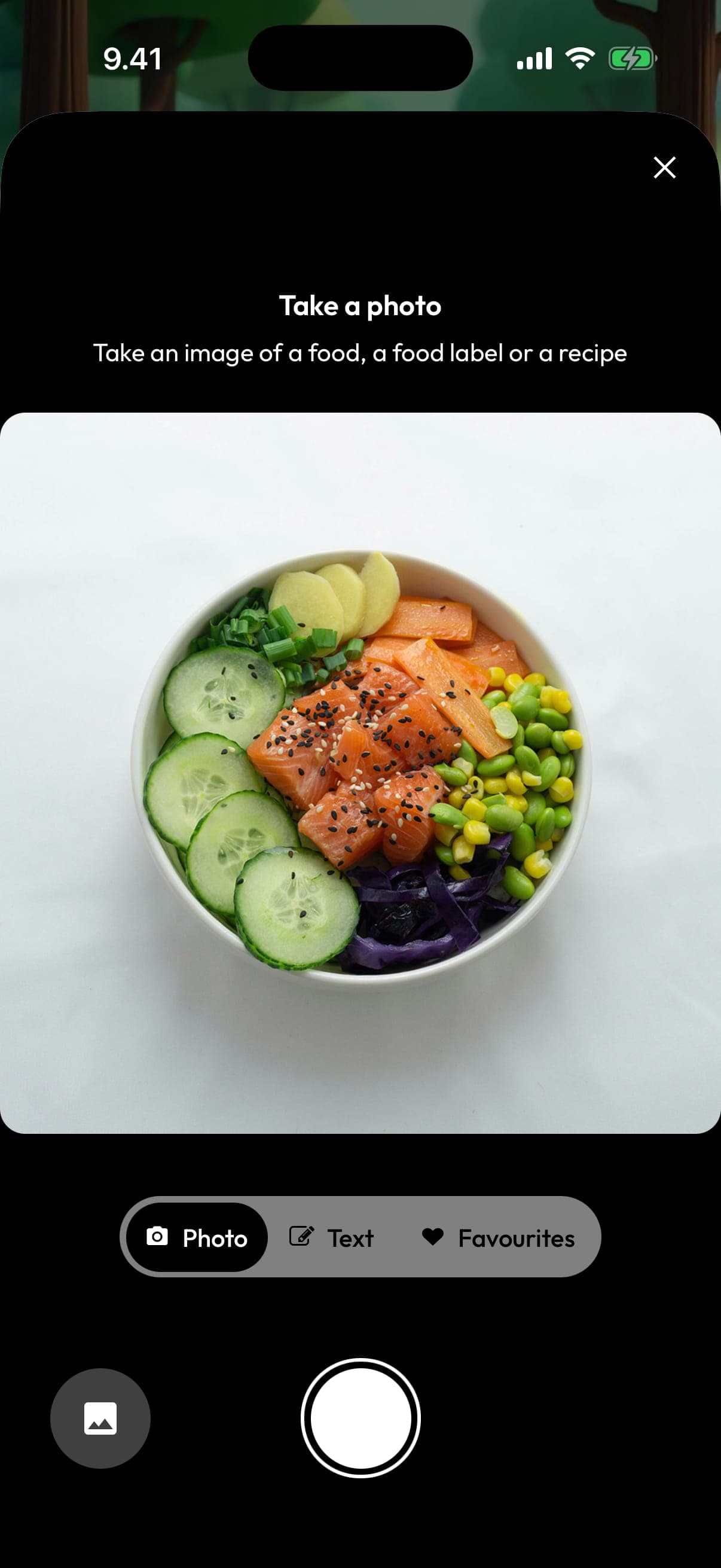 Pureo AI food scanner